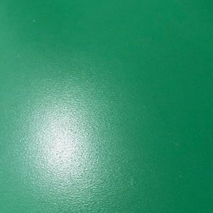 Meet your Posher, Bianca